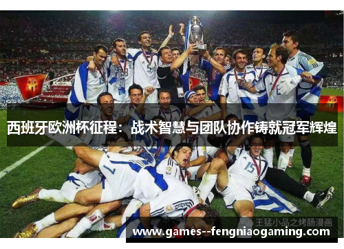 西班牙欧洲杯征程：战术智慧与团队协作铸就冠军辉煌