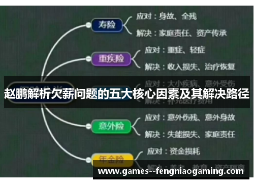 赵鹏解析欠薪问题的五大核心因素及其解决路径