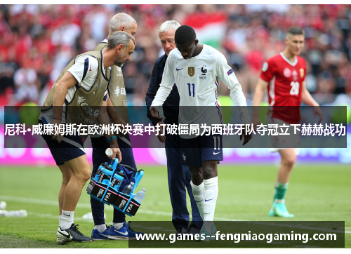 尼科·威廉姆斯在欧洲杯决赛中打破僵局为西班牙队夺冠立下赫赫战功