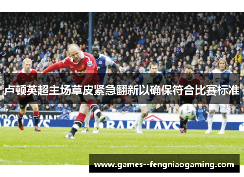 卢顿英超主场草皮紧急翻新以确保符合比赛标准
